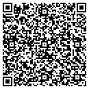 QR code with Color Time Painting contacts