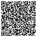 QR code with Geosys contacts