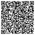 QR code with Fallon contacts