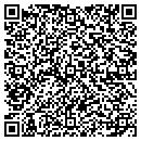 QR code with Precisionpro Painting contacts