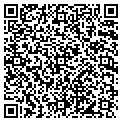 QR code with Digital Decor contacts