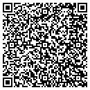 QR code with Professional Towing contacts