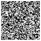 QR code with Citywide Painting Inc contacts