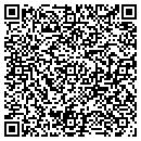 QR code with Cdz Consulting LLC contacts