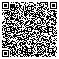 QR code with Towing contacts