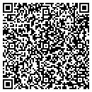 QR code with Castaldi David L contacts