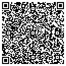 QR code with Briscoe Todd P DDS contacts