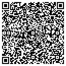 QR code with Ppm Consulting contacts