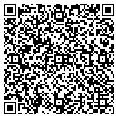 QR code with Primitive Decorator contacts