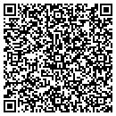 QR code with Protel Consulting contacts