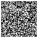 QR code with Collegiate Painting contacts