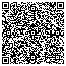 QR code with Celerant Consulting contacts