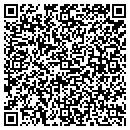 QR code with Cinamon James S DDS contacts