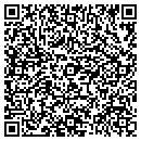 QR code with Carey Consultants contacts