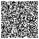 QR code with Collins Construction contacts