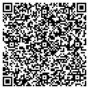 QR code with Princess Party contacts