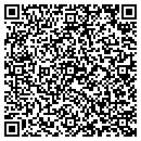 QR code with Premier Coatings Inc contacts