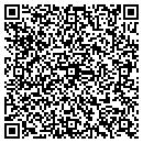 QR code with Carpe Diem Decorating contacts