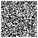 QR code with Consulting Institute contacts