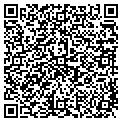 QR code with IBEW contacts