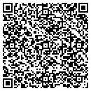 QR code with Ppa Consulting LLC contacts
