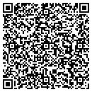 QR code with Blueprint Matrix LLC contacts