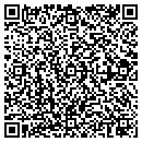 QR code with Carter Consulting Inc contacts