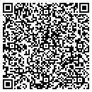QR code with Pyrons Decorating Den contacts