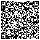 QR code with Custom Fabric Samples contacts