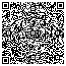 QR code with Psyberanalytix LLC contacts