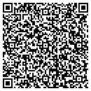 QR code with Pulaski Consulting contacts