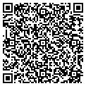 QR code with Pepps contacts