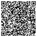 QR code with Magston contacts