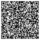 QR code with Bluestone David DDS contacts