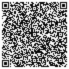 QR code with Blue Desert Company contacts