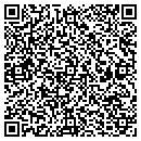QR code with Pyramid Fence Co Inc contacts