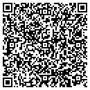 QR code with Blazing Paradise LLC contacts