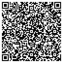 QR code with Pro Services Inc contacts