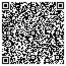 QR code with Borowy & Sons contacts