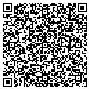 QR code with Puente De Vida contacts