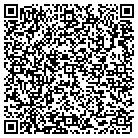 QR code with Pueblo Design Studio contacts