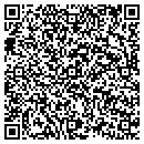 QR code with Pv Interiors LLC contacts