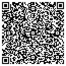 QR code with Babika Painting Inc contacts