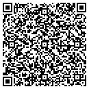 QR code with Charles M Schwinabart contacts
