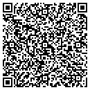 QR code with Professional Heating & Ai contacts