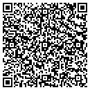 QR code with Psychedelic Brush contacts