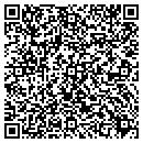 QR code with Professional A-Towing contacts