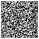 QR code with PVS Electronics contacts
