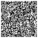 QR code with Public Storage contacts