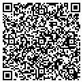 QR code with P Farm contacts